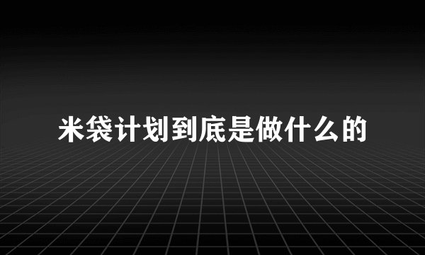 米袋计划到底是做什么的