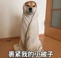 研究员在南极发现100年前水果蛋糕，几乎可以食用，这是为什么？