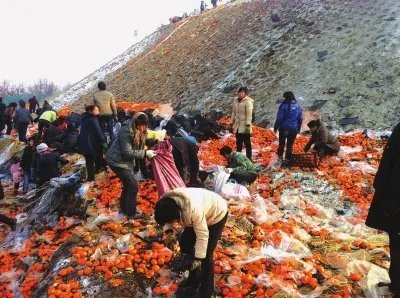 为何居民会哄抢猪肉呢?这件事情的具体过程是怎样的?