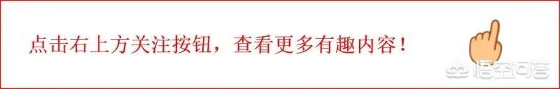 济公姓什么？
