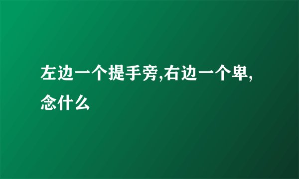 左边一个提手旁,右边一个卑,念什么