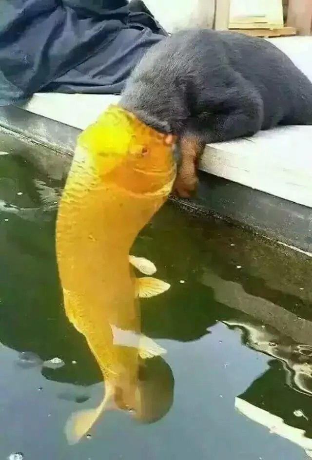 有什么黑暗系的头像?