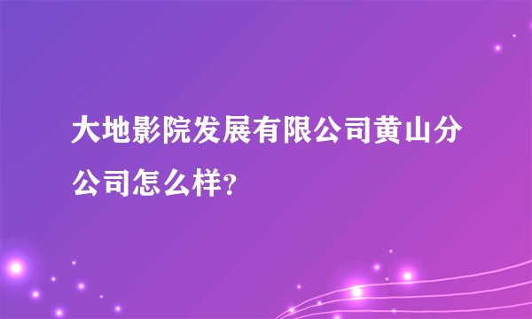 大地影院发展有限公司黄山分公司怎么样？