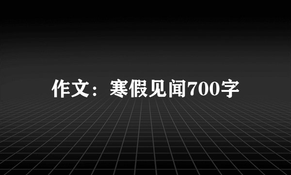 作文：寒假见闻700字