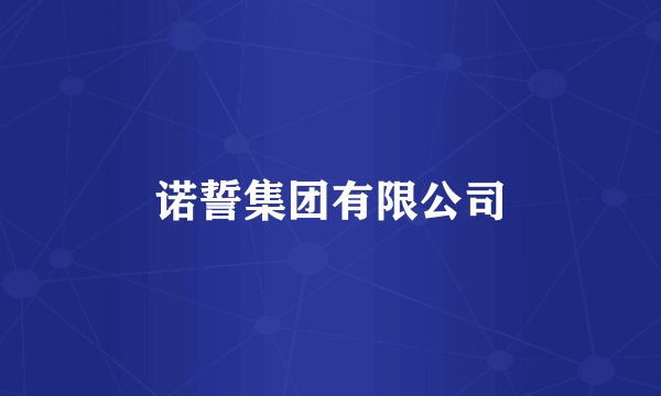 诺誓集团有限公司