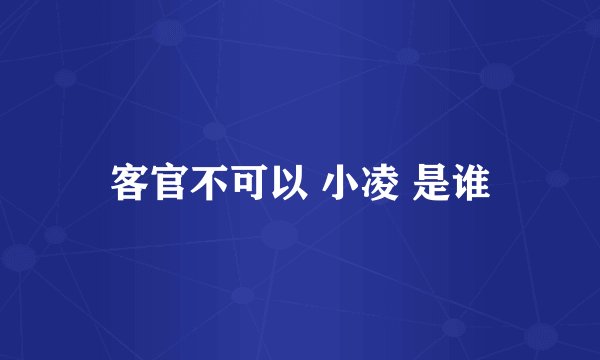 客官不可以 小凌 是谁