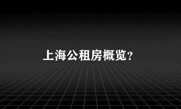上海公租房概览？