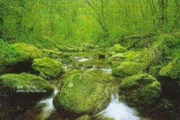 韵律操音乐