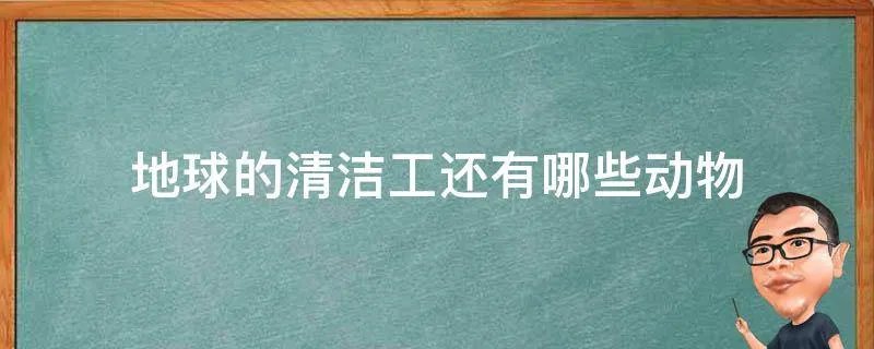 地球的清洁工还有哪些动物