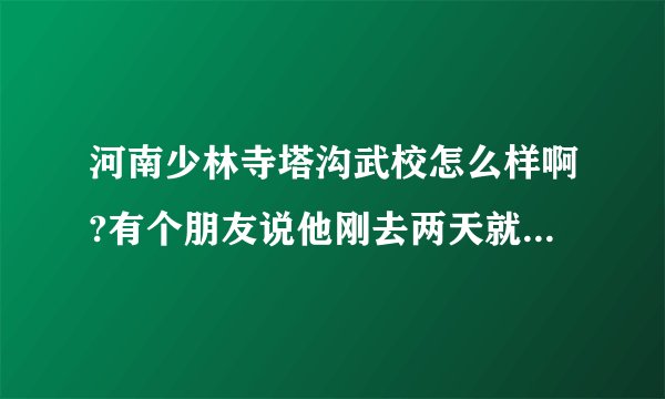 河南少林寺塔沟武校怎么样啊?有个朋友说他刚去两天就要回来了?说学不着真东西？
