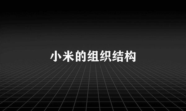 小米的组织结构