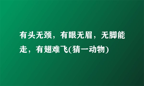 有头无颈，有眼无眉，无脚能走，有翅难飞(猜一动物)