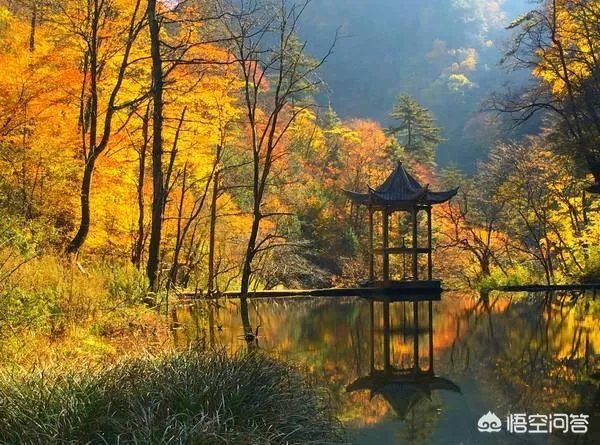 两汉三国真美汉中是什么梗？