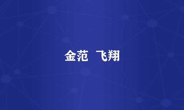 金范  飞翔