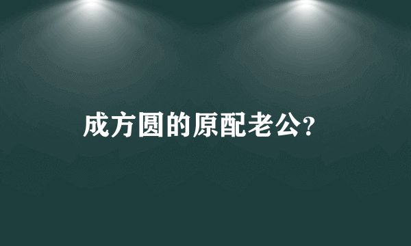 成方圆的原配老公?