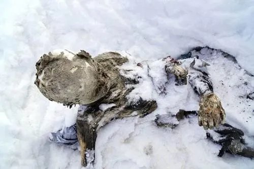 香河老人不腐之谜，为何在往生多年之后尸身不腐败？
