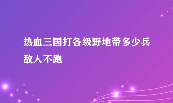 热血三国打各级野地带多少兵敌人不跑