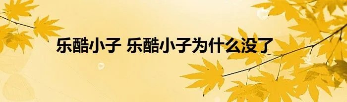 乐酷小子 乐酷小子为什么没了