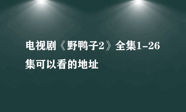 电视剧《野鸭子2》全集1-26集可以看的地址