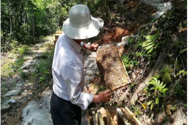 哪个牌子蜂蜜是正宗的?求推荐