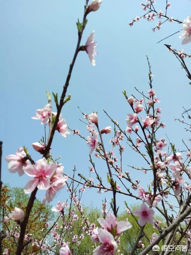 情侣一起去吃饭时，为什么有的情侣是面对面坐，而不是挨着坐？