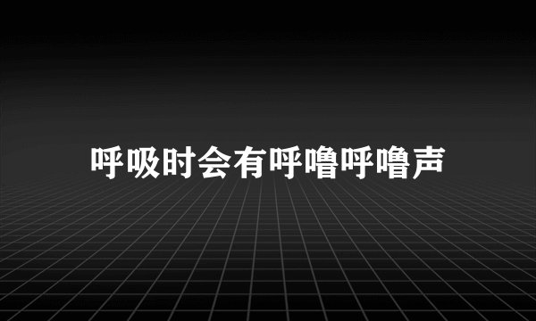呼吸时会有呼噜呼噜声