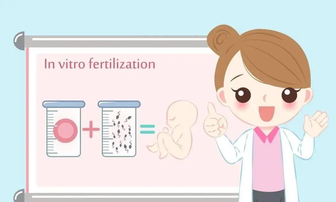 试管龙凤胎-试管婴儿龙凤双胞胎的费用是多少