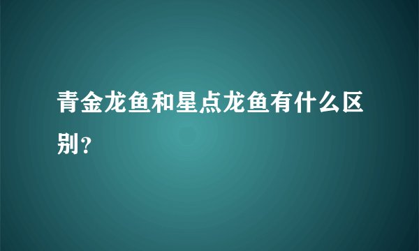 青金龙鱼和星点龙鱼有什么区别？
