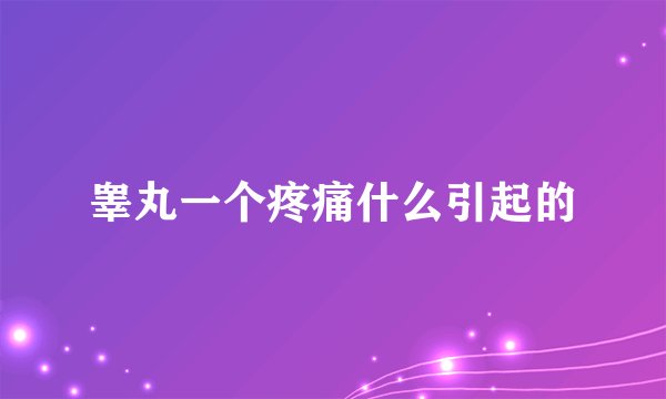 睾丸一个疼痛什么引起的