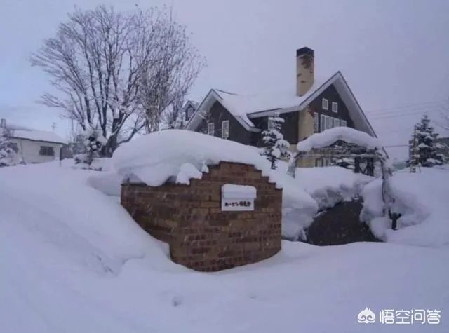 明知道雪乡宰客,为什么还有人要去,不能找正规旅行社吗?