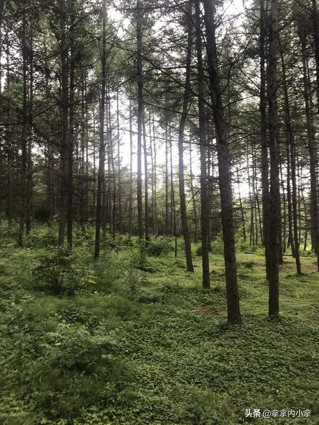 八月初去草原天路穿什么衣服?