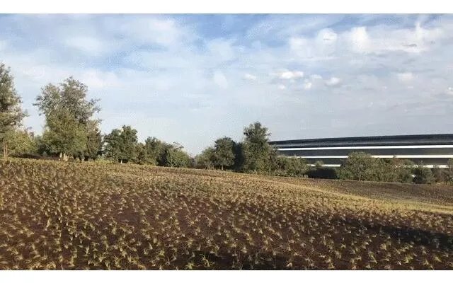 2017年秋季苹果发布会的现场，和以往有哪些不一样？
