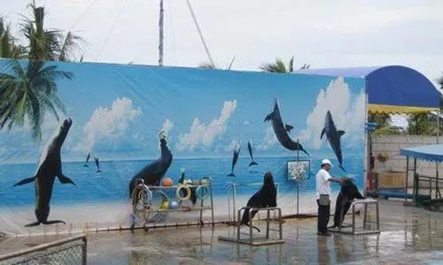海口热带海洋世界怎么样?