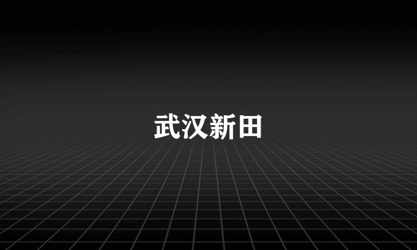 武汉新田