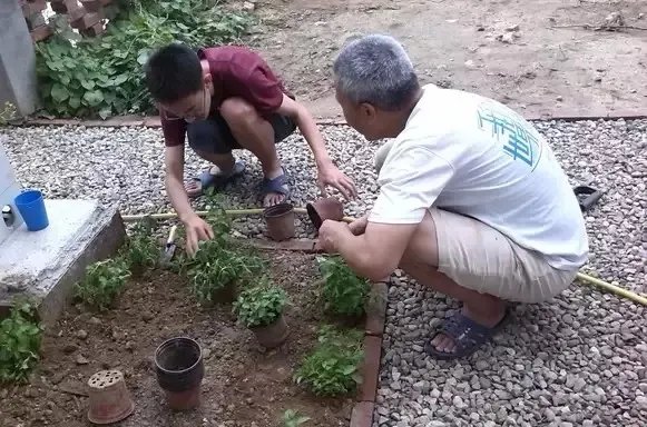 52岁大叔,在北京用集装箱造了一栋“桃花源”别墅,看完就膜拜了!