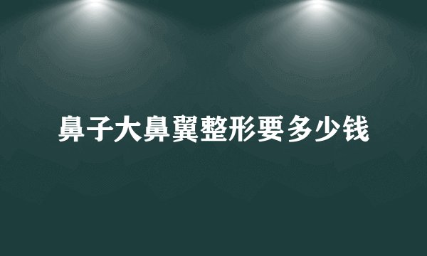 鼻子大鼻翼整形要多少钱