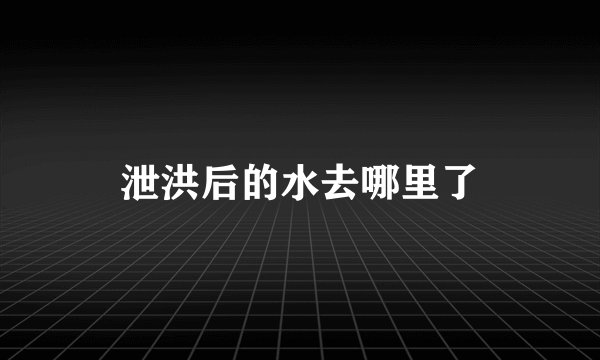 泄洪后的水去哪里了