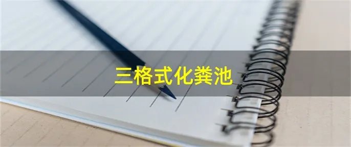 三格式化粪池