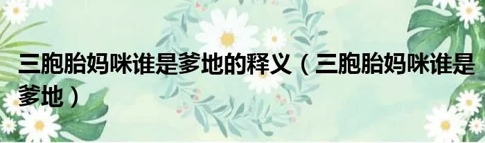 三胞胎妈咪谁是爹地的释义（三胞胎妈咪谁是爹地）