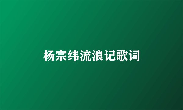 杨宗纬流浪记歌词