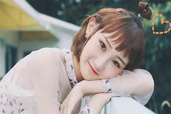 绿色歌词表达了什么感情?