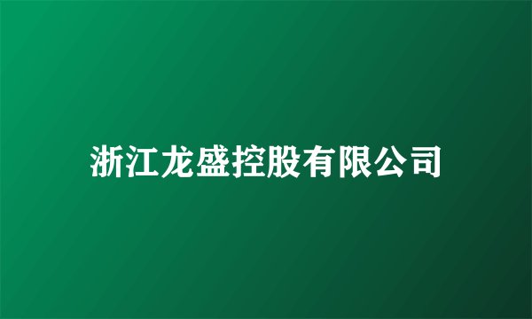 浙江龙盛控股有限公司