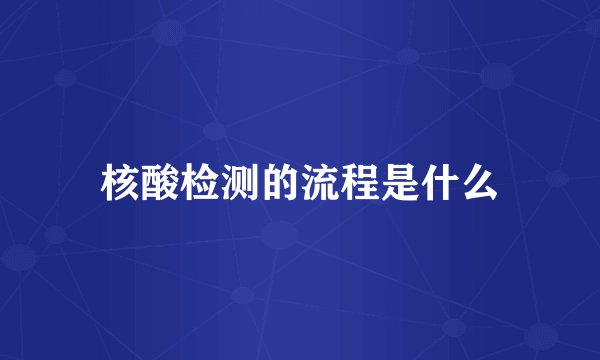 核酸检测的流程是什么