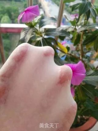 卡仕达餐包