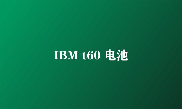 IBM t60 电池