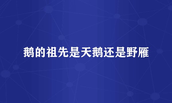 鹅的祖先是天鹅还是野雁