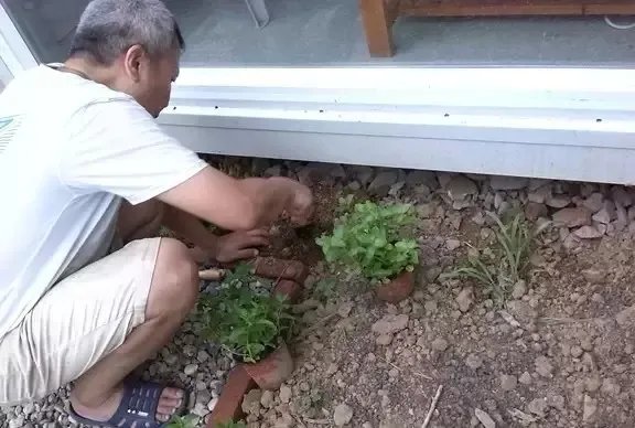 52岁大叔,在北京用集装箱造了一栋“桃花源”别墅,看完就膜拜了!
