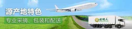 农业电商平台