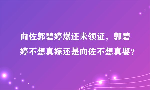 向佐郭碧婷爆还未领证，郭碧婷不想真嫁还是向佐不想真娶？