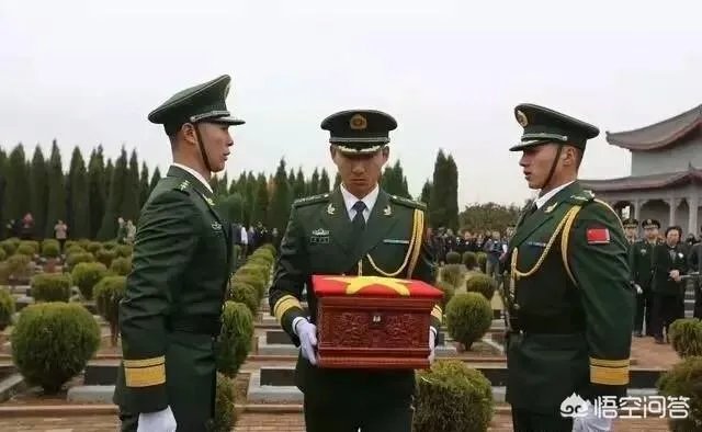 王成龙事迹